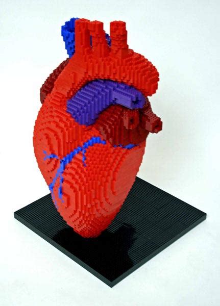 heart shaped lego set|lego anatomical heart kit.